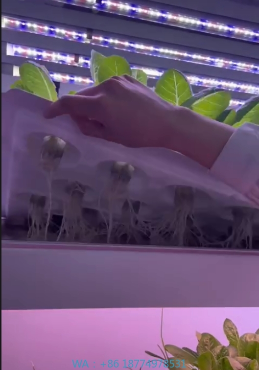 Agriculture Farming Equipments - f Теплица Сельскохозяйственное оборудование для выращивания