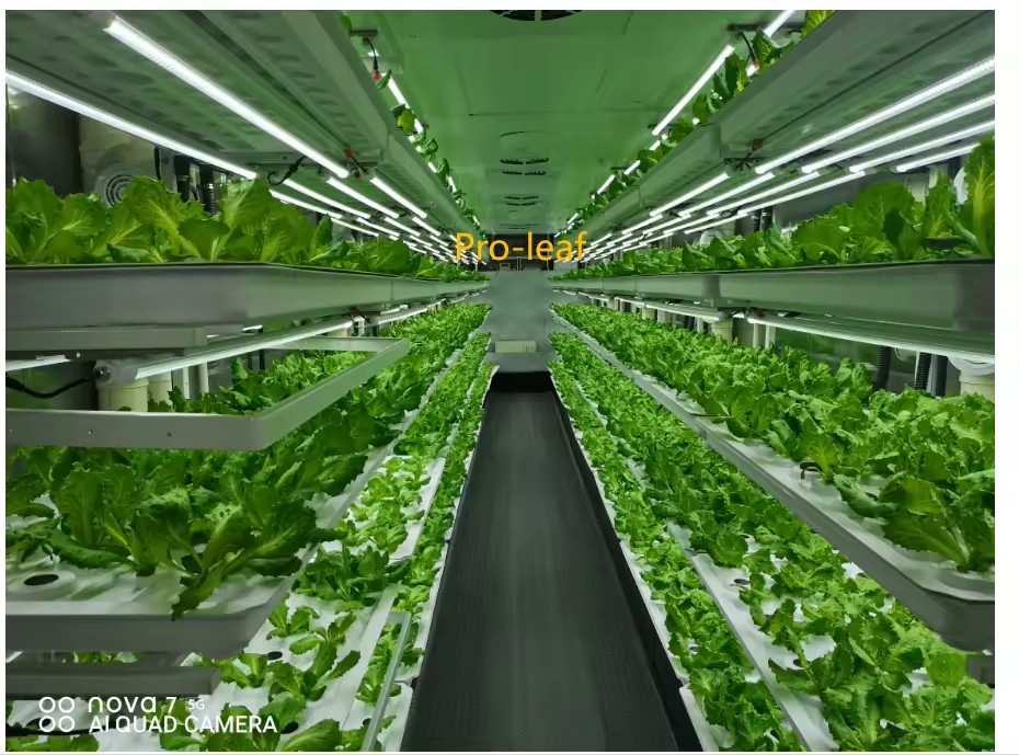 f Теплица Сельскохозяйственное – обзор и цена Agriculture Farming Equipments