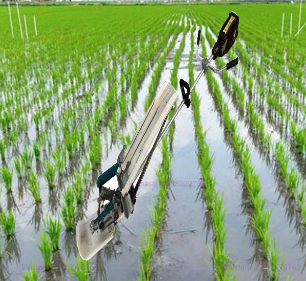 Низкая цена, хит продаж: Однор – обзор и цена Agriculture Farming Rice