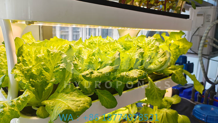 c Сельскохозяйственная машина  – обзор и цена Agriculture Farming Equipments