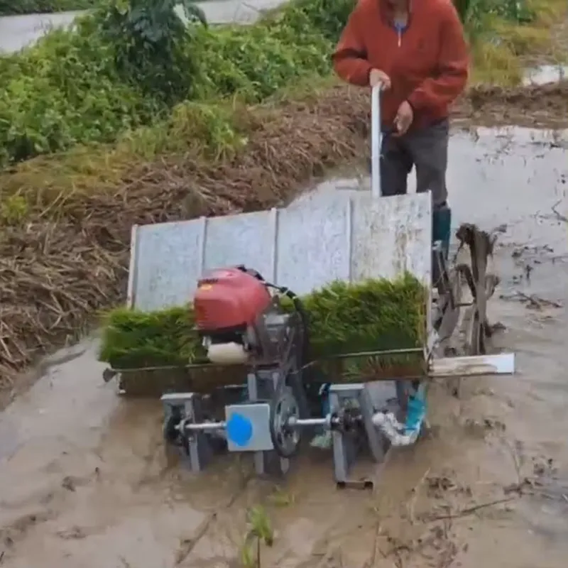 4-рядная ручная сельскохозяйст – обзор и цена Agriculture Farming Rice