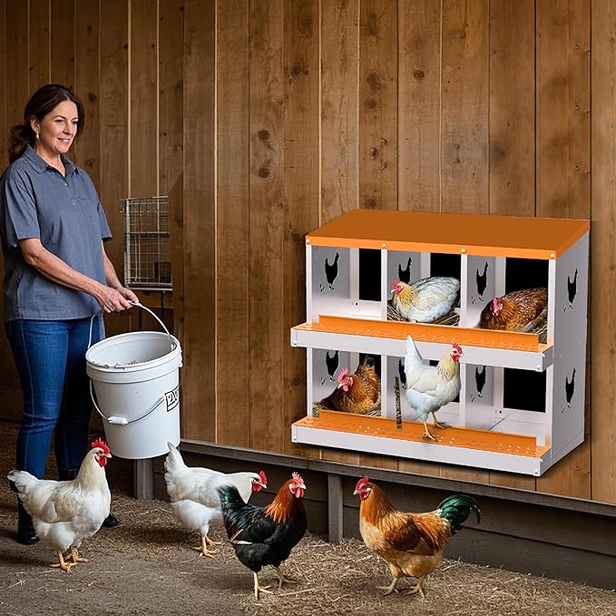 Куриные гнездовые ящики на 6-1 – обзор и цена Farming System & Sustainable Agriculture